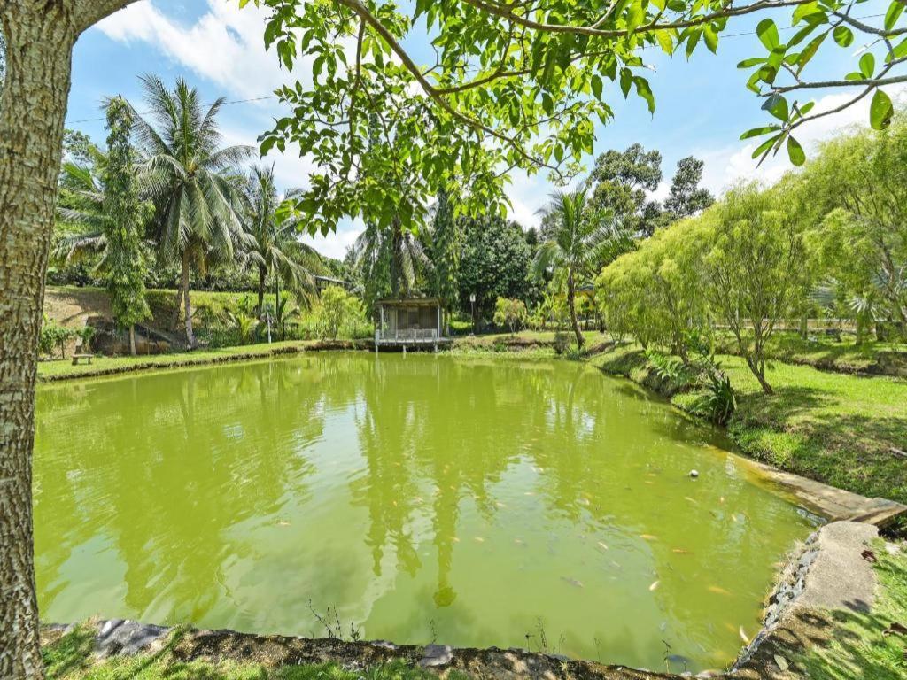 Oyo 90636 Teratak Zakiah Chalet Jerantut Extérieur photo