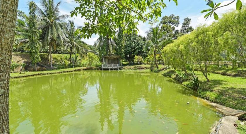 Oyo 90636 Teratak Zakiah Chalet Jerantut Extérieur photo
